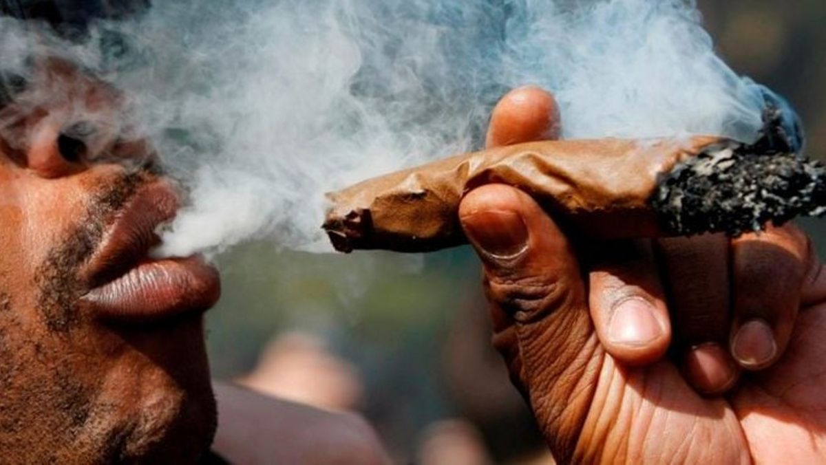 Top 10 Weed Smoking Countries In Africa...Check Out The Position of